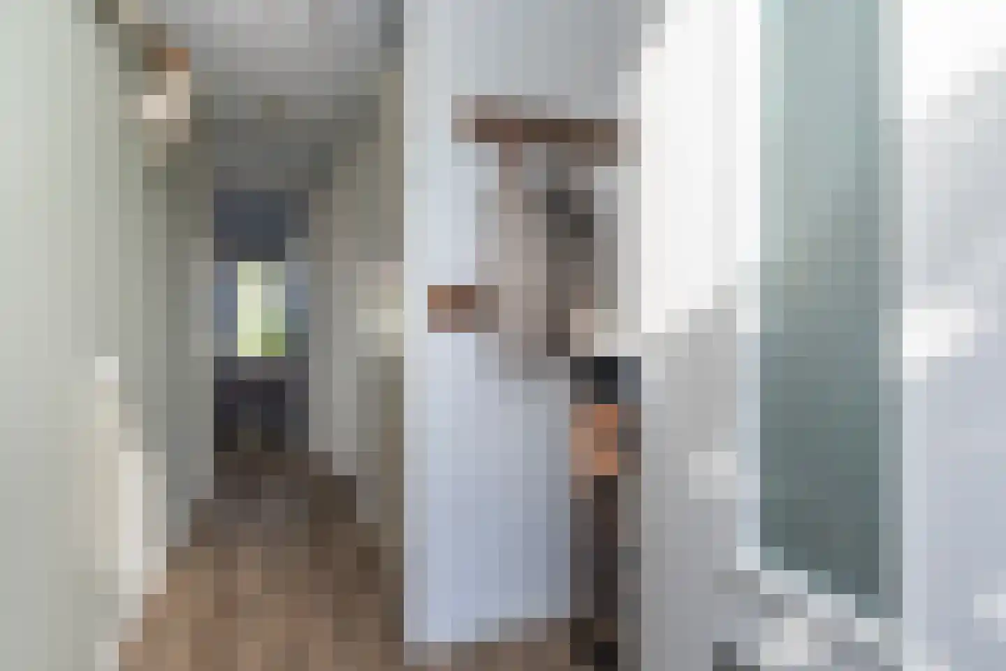 Pomonastraat 22 Naaldwijk thumbnail 6