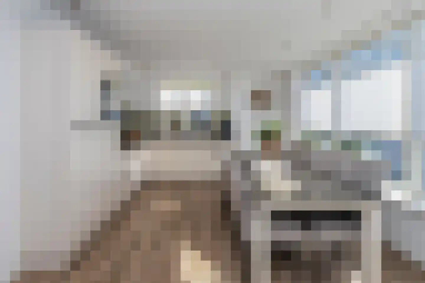 Pomonastraat 22 Naaldwijk thumbnail 7