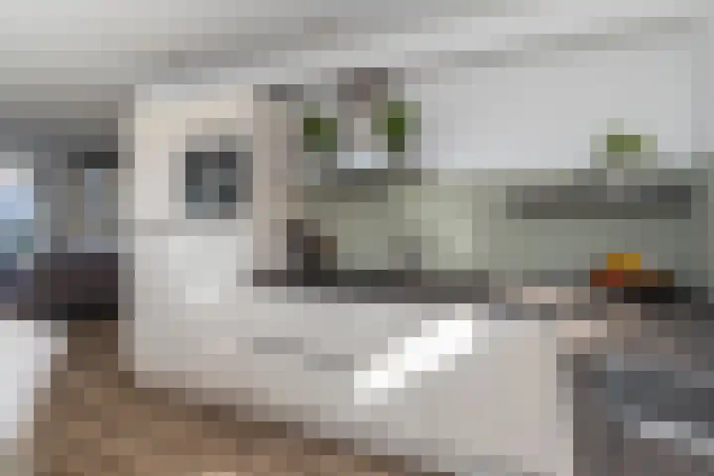 Pomonastraat 22 Naaldwijk thumbnail 9