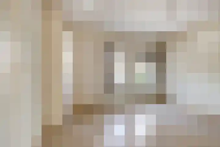 Pomonastraat 46 Amsterdam thumbnail 18