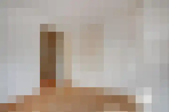 Pomonastraat 46 Amsterdam thumbnail 22