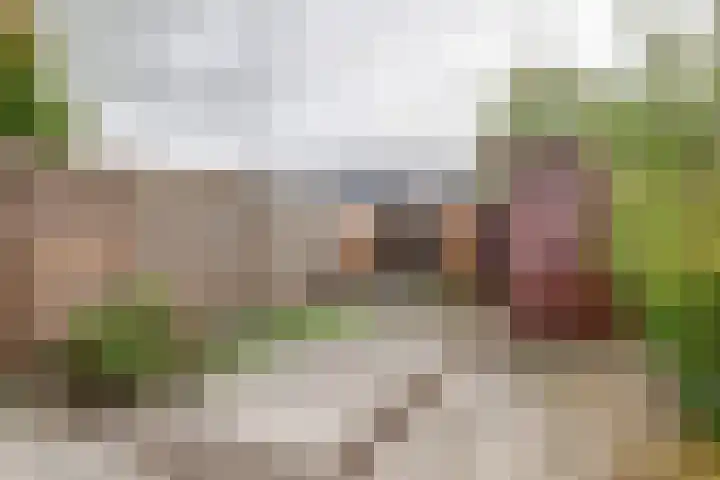 Pomonastraat 46 Amsterdam thumbnail 28