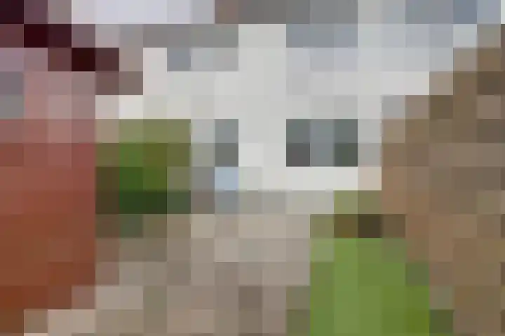 Pomonastraat 46 Amsterdam thumbnail 29
