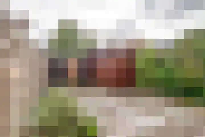 Pomonastraat 46 Amsterdam thumbnail 30
