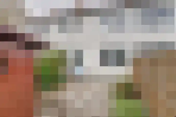 Pomonastraat 46 Amsterdam thumbnail 32
