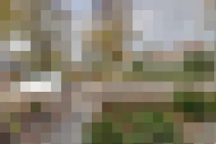 Pomonastraat 46 Amsterdam thumbnail 33