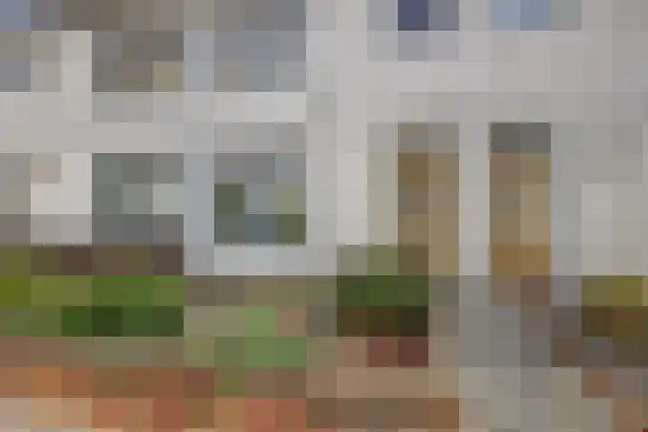 Pomonastraat 46 Amsterdam thumbnail 4