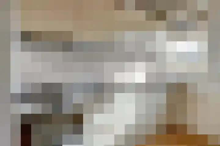 Pomonastraat 46 Amsterdam thumbnail 7