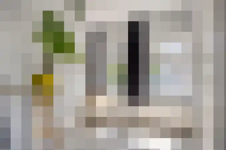 Pomonastraat 58 Amsterdam thumbnail 25
