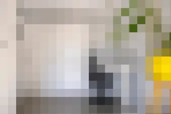 Pomonastraat 58 Amsterdam thumbnail 26
