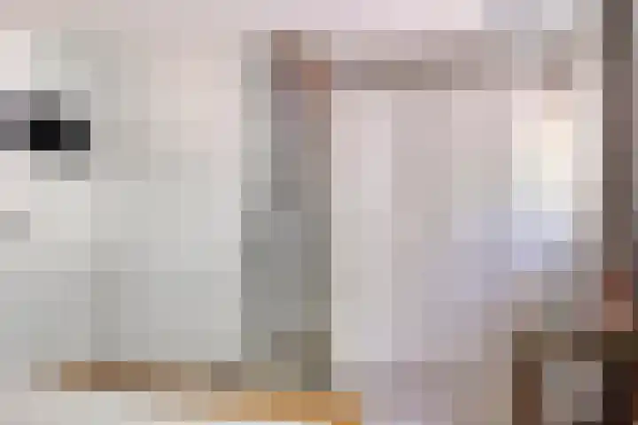Pomonastraat 58 Amsterdam thumbnail 27