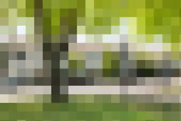 Pomonastraat 58 Amsterdam thumbnail 30