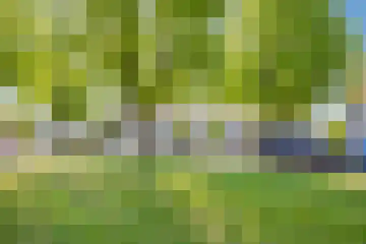Pomonastraat 58 Amsterdam thumbnail 31