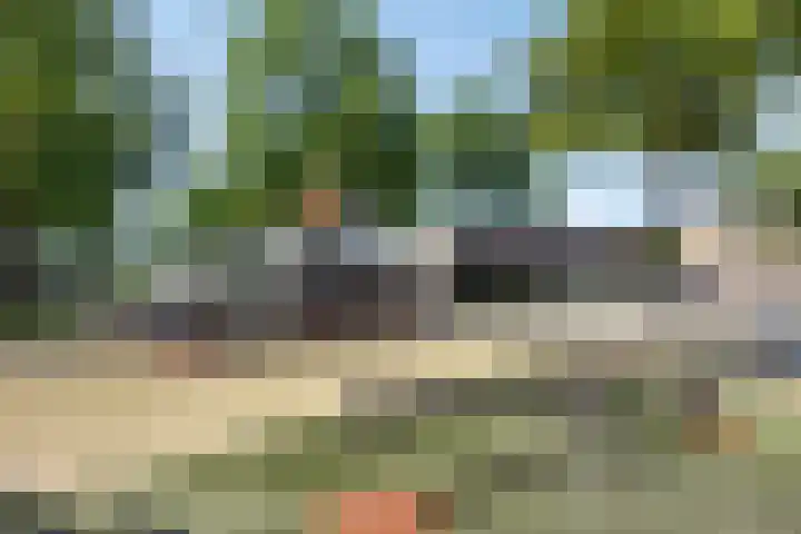 Pomonastraat 58 Amsterdam thumbnail 32