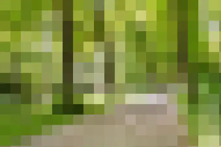 Pomonastraat 58 Amsterdam thumbnail 33