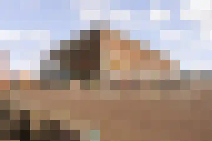 Pomonastraat 58 Amsterdam thumbnail 35