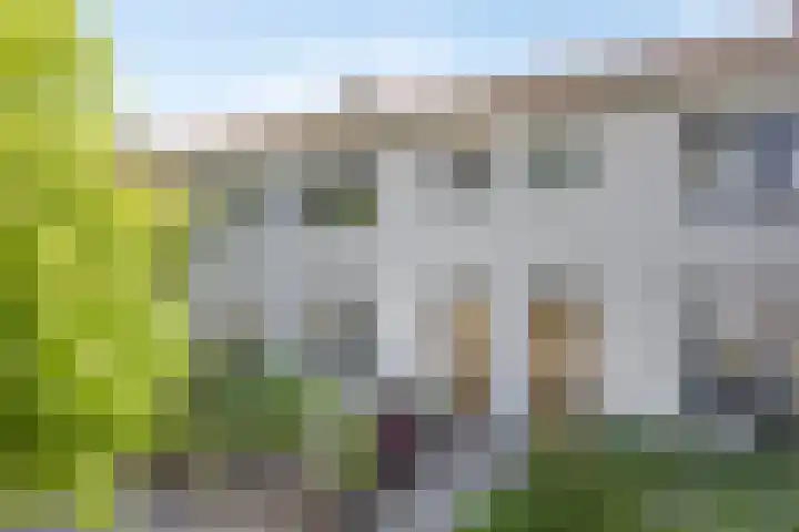 Pomonastraat 58 Amsterdam thumbnail 40