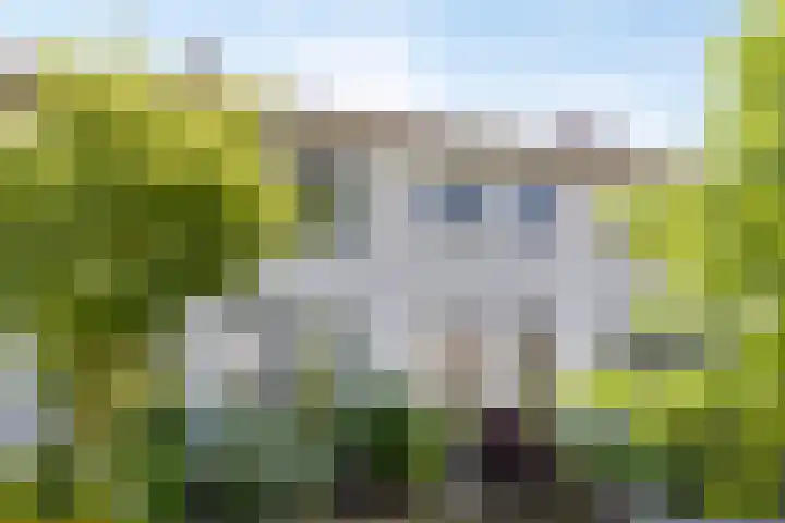 Pomonastraat 58 Amsterdam thumbnail 5