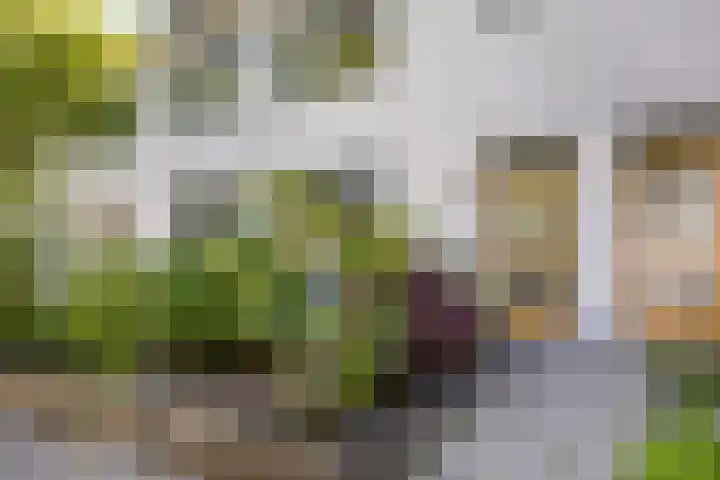 Pomonastraat 58 Amsterdam thumbnail 6