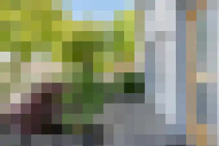 Pomonastraat 58 Amsterdam thumbnail 7