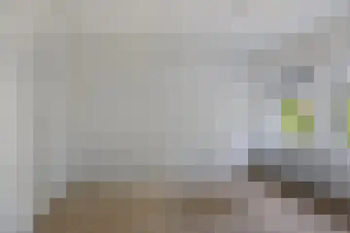Pomonastraat 60 Amsterdam thumbnail 14