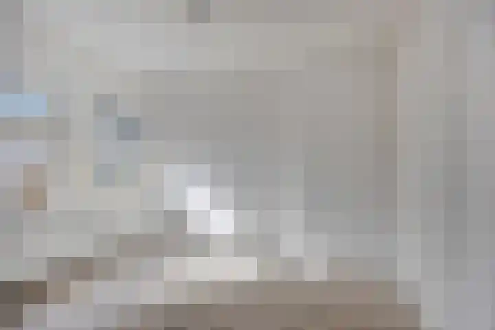 Pomonastraat 60 Amsterdam thumbnail 18