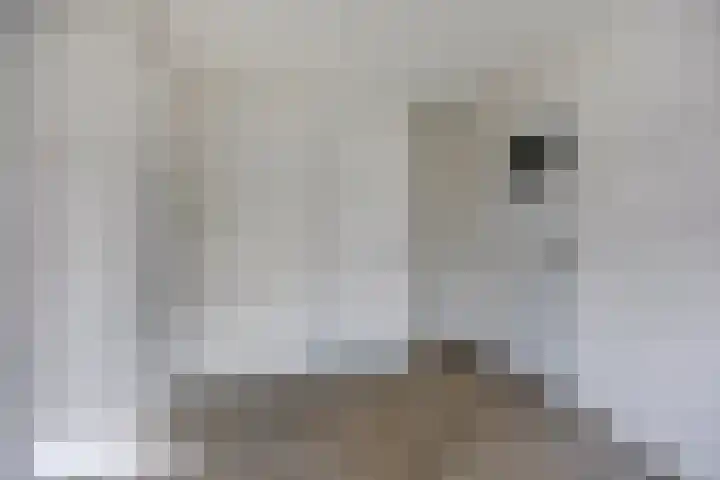 Pomonastraat 60 Amsterdam thumbnail 19