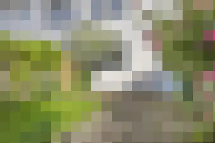 Pomonastraat 60 Amsterdam thumbnail 21