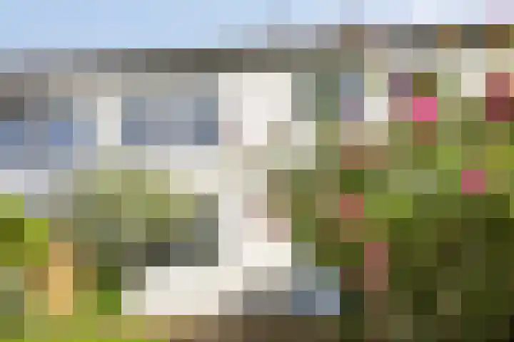 Pomonastraat 60 Amsterdam thumbnail 22