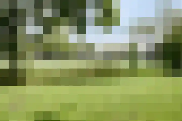 Pomonastraat 60 Amsterdam thumbnail 23