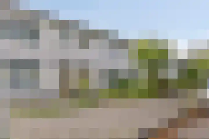 Pomonastraat 60 Amsterdam thumbnail 24