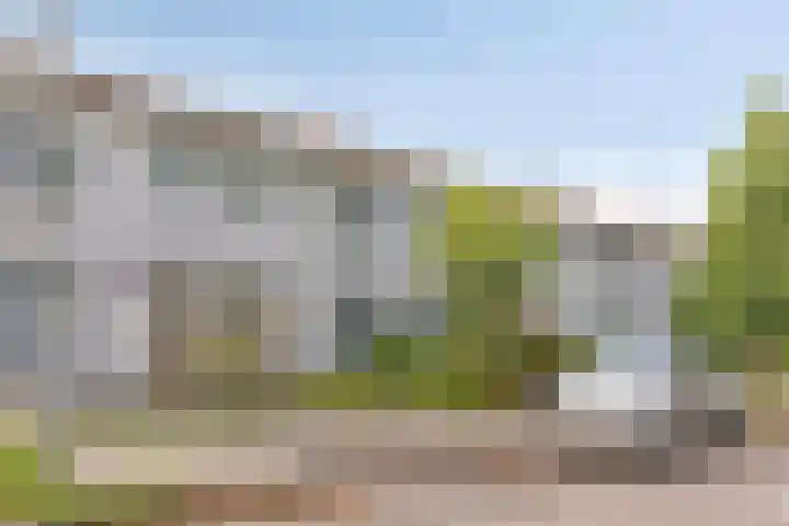 Pomonastraat 60 Amsterdam thumbnail 25