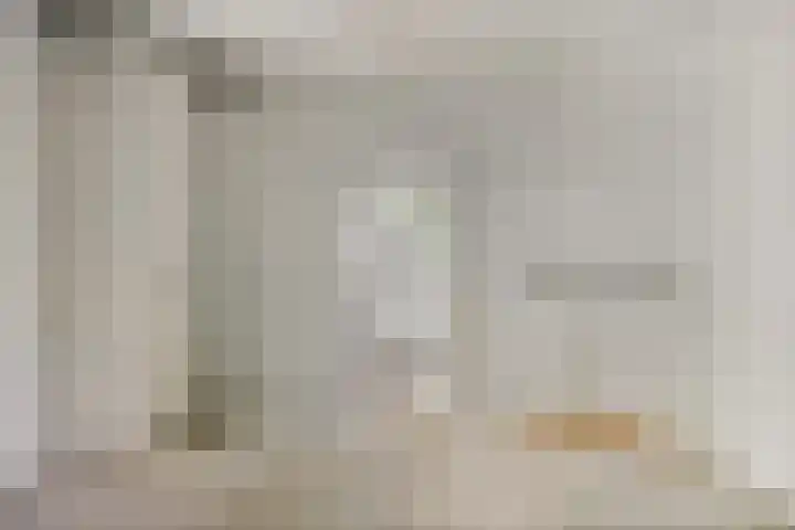 Pomonastraat 60 Amsterdam thumbnail 4