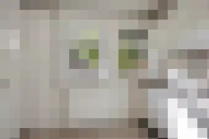 Pomonastraat 60 Amsterdam thumbnail 6