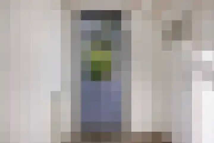 Pomonastraat 60 Amsterdam thumbnail 8