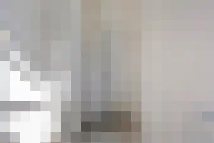 Pomonastraat 60 Amsterdam thumbnail 9