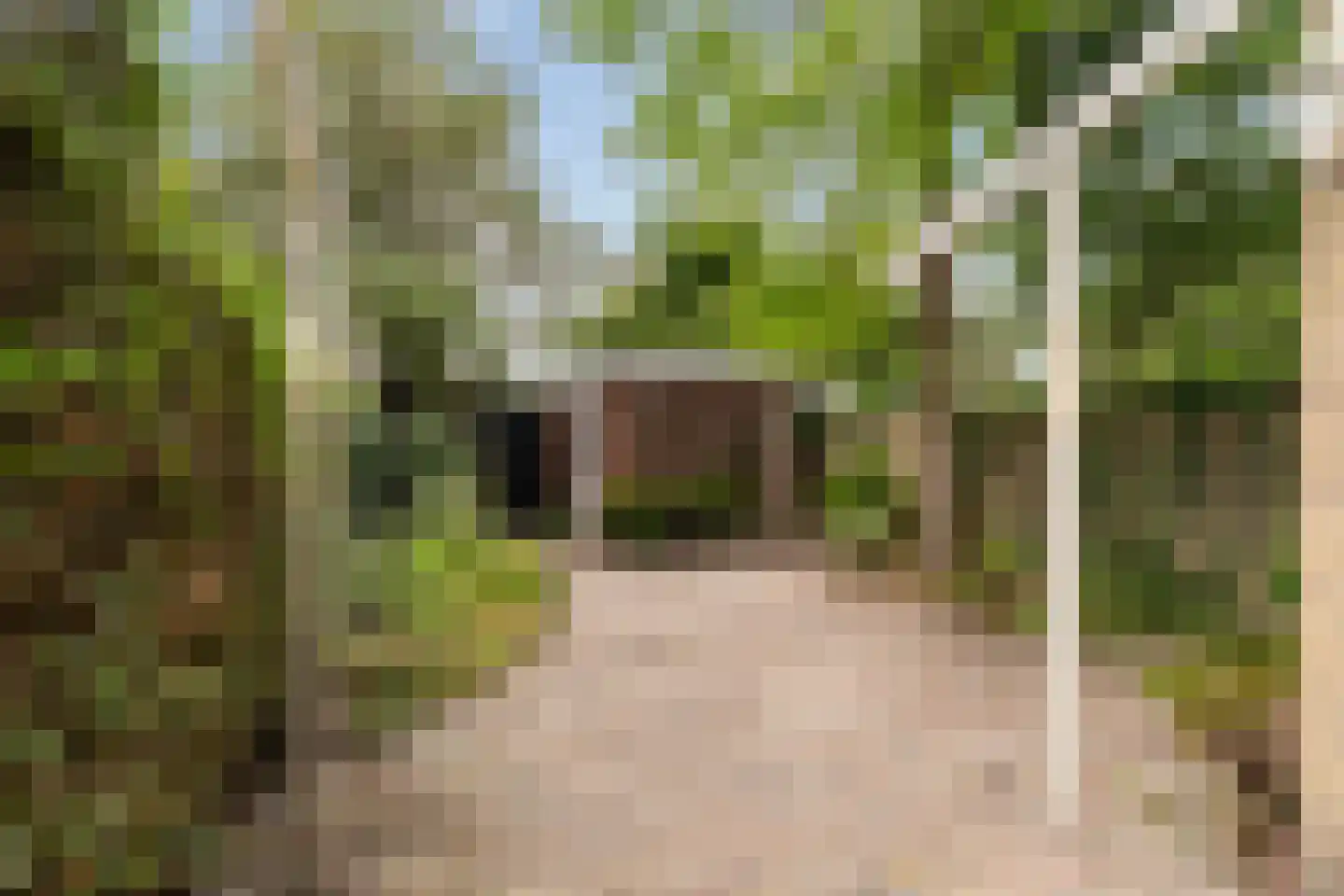 Pompe v Meerdervoortstraat 16 's-Gravenzande thumbnail 35