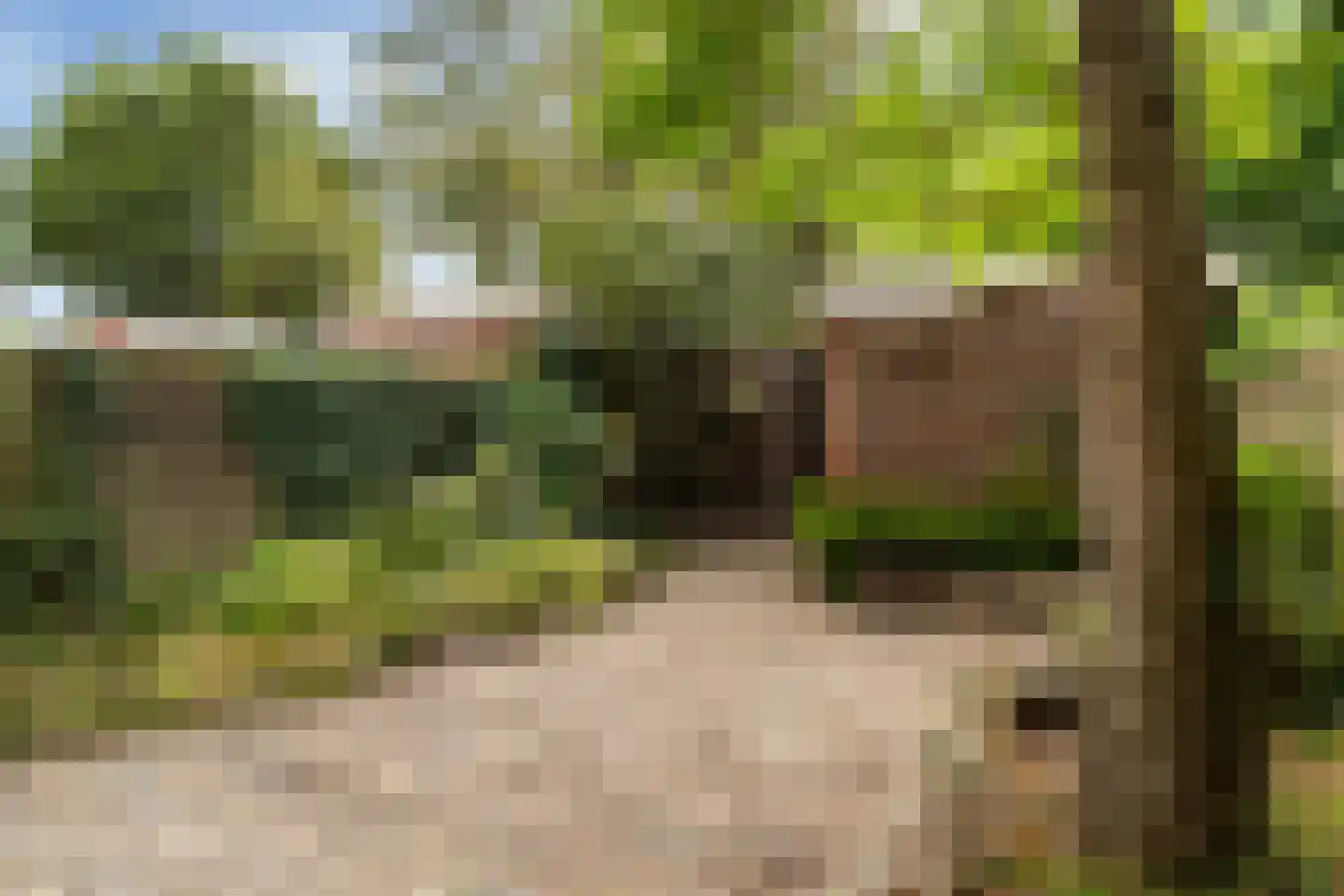 Pompe v Meerdervoortstraat 16 's-Gravenzande thumbnail 37