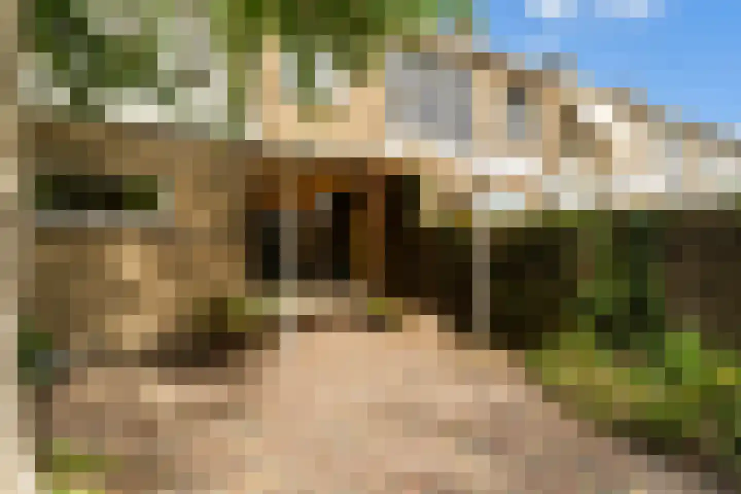 Pompe v Meerdervoortstraat 16 's-Gravenzande thumbnail 39