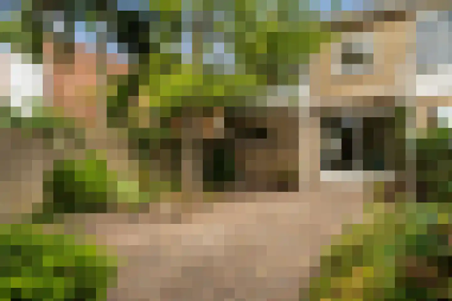 Pompe v Meerdervoortstraat 16 's-Gravenzande thumbnail 4