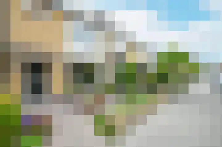 Pompe v Meerdervoortstraat 3 's-Gravenzande thumbnail 38