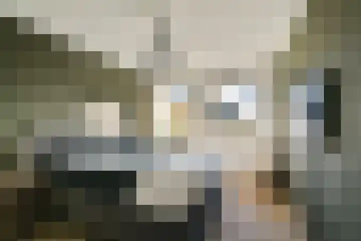 Pompe van Meerdervoortsingel 9 Hendrik-Ido-Ambacht thumbnail 15