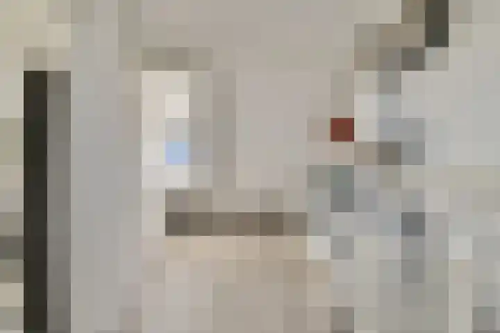 Pompe van Meerdervoortsingel 9 Hendrik-Ido-Ambacht thumbnail 23