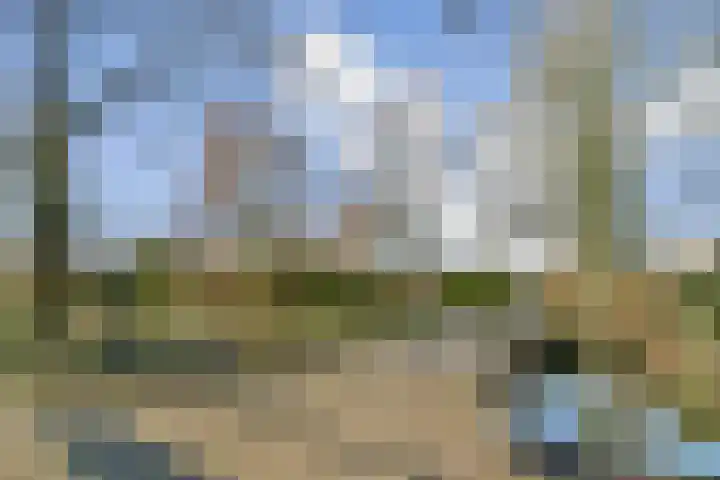 Pompe van Meerdervoortsingel 9 Hendrik-Ido-Ambacht thumbnail 34