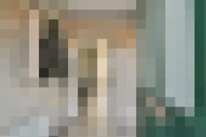 Pompe van Meerdervoortsingel 9 Hendrik-Ido-Ambacht thumbnail 5
