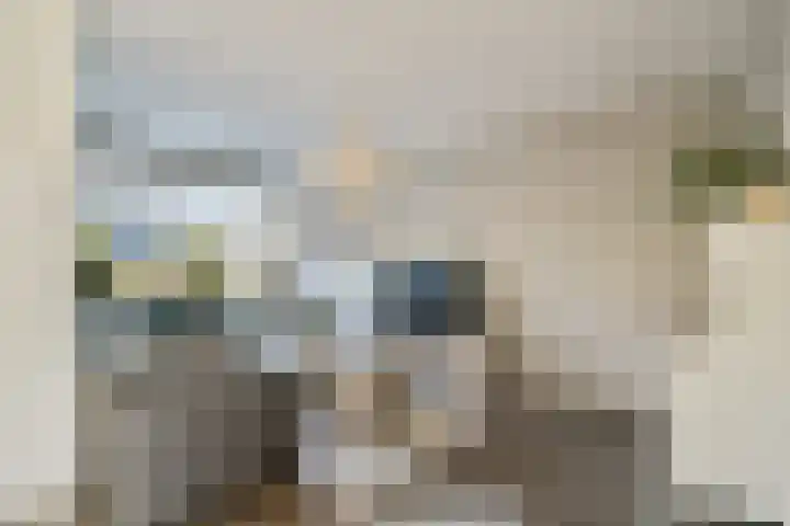 Pompe van Meerdervoortsingel 9 Hendrik-Ido-Ambacht thumbnail 7