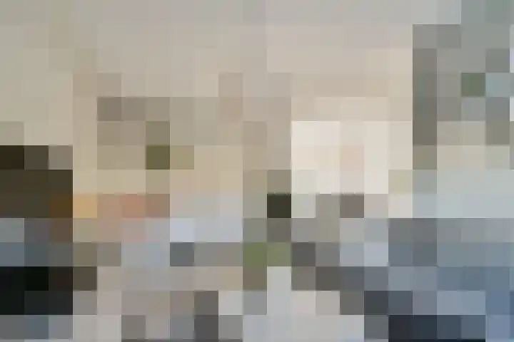 Pompe van Meerdervoortsingel 9 Hendrik-Ido-Ambacht thumbnail 8