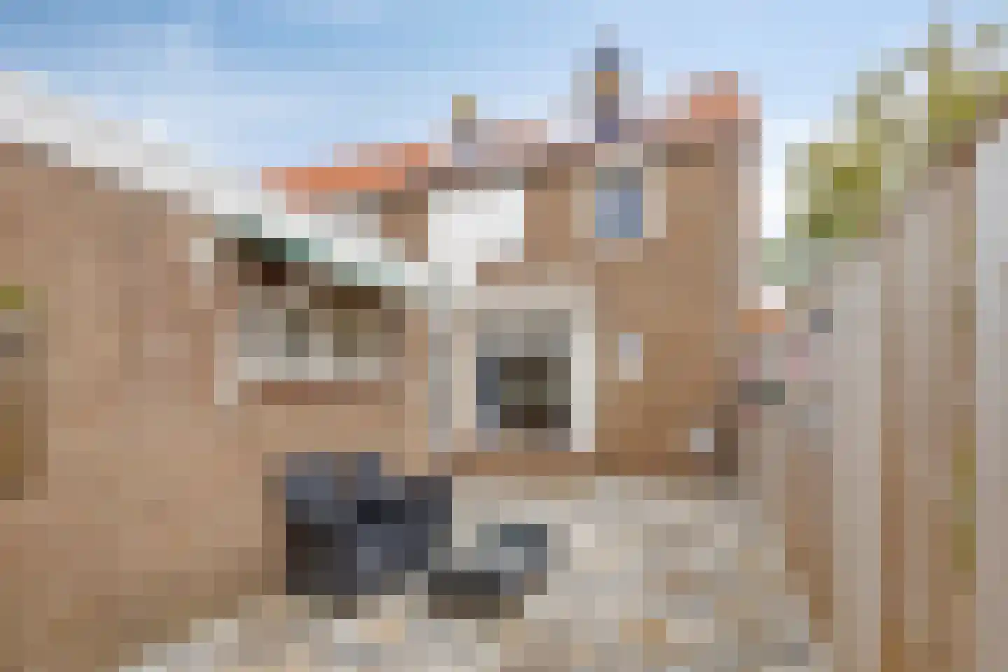 Pompe van Meerdervoortstraat 26 Yerseke thumbnail 20