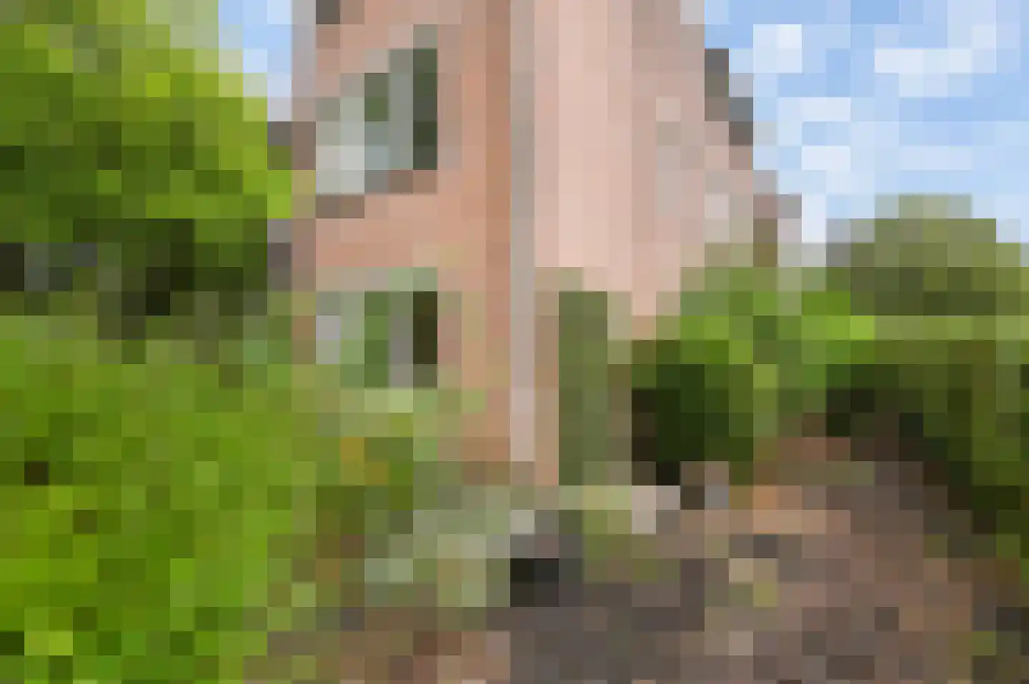 Pompe van Meerdervoortstraat 8 Voorburg thumbnail 7