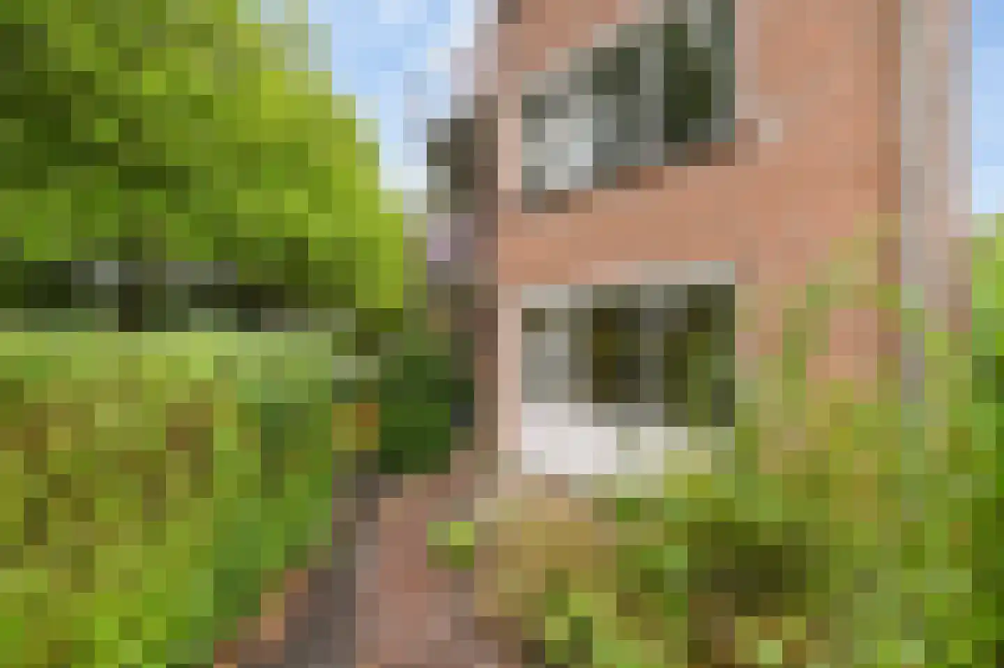 Pompe van Meerdervoortstraat 8 Voorburg thumbnail 8
